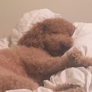 Meet your Posher, Kimberly